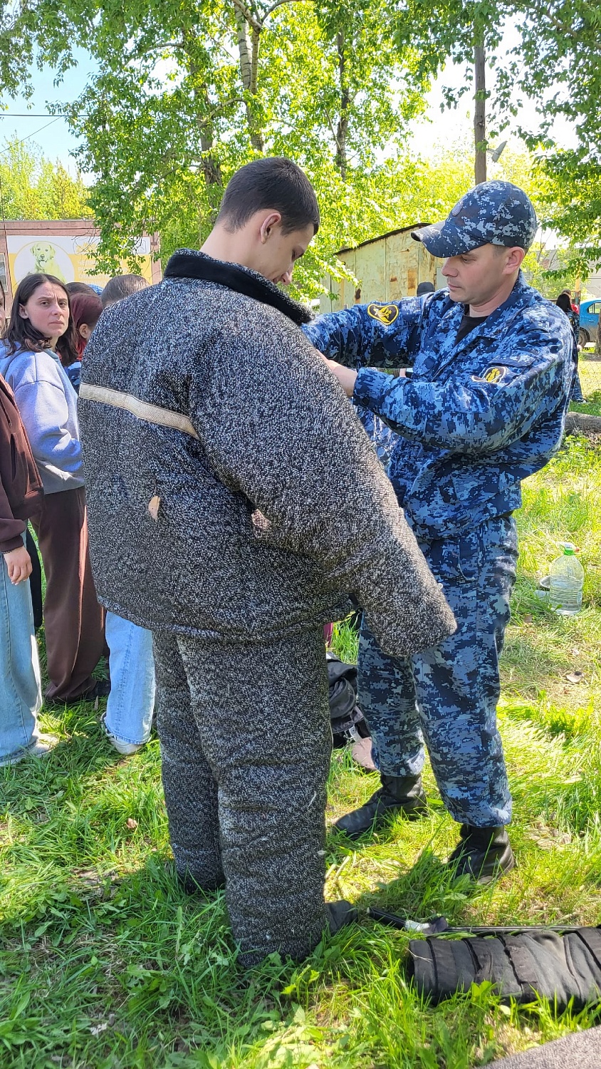 Кинологический фестиваль в колледже Комитент: яркие моменты и незабываемые эмоции!
