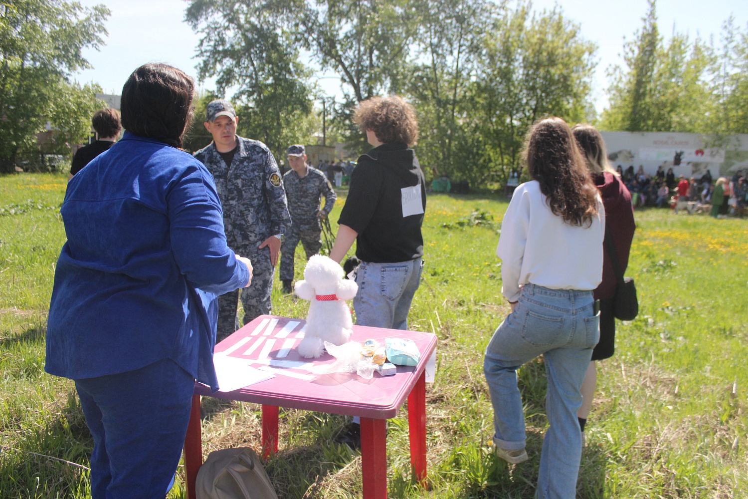 Кинологический фестиваль в колледже Комитент: яркие моменты и незабываемые эмоции!